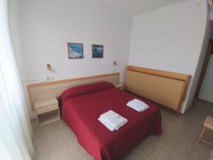 camera-222-1