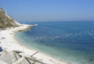 spiaggia_gabbiani  